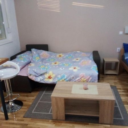 Apartments In City Center Kumanovo Exteriér fotografie